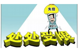 安徽专业要账公司